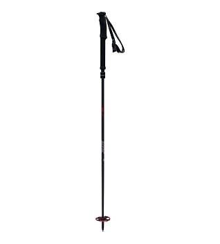 Sjezdové hole Swix Sonic R1 Extended